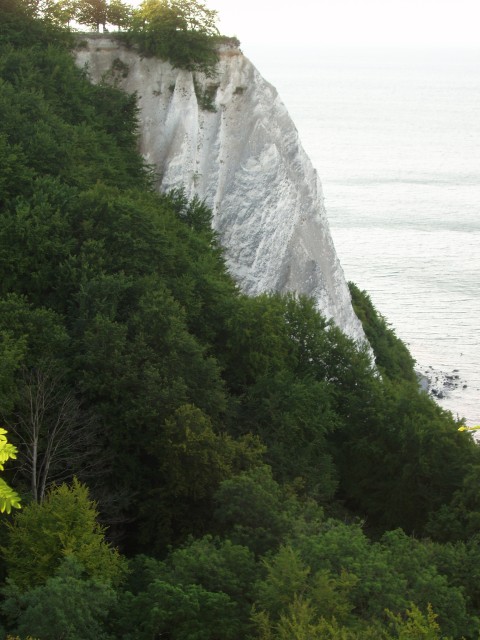P1010165.JPG