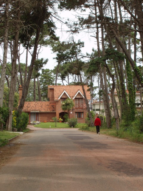 P1010316.JPG