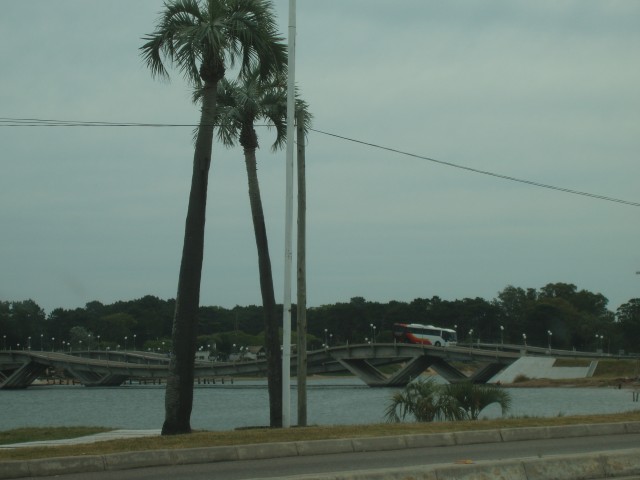 P1010331.JPG