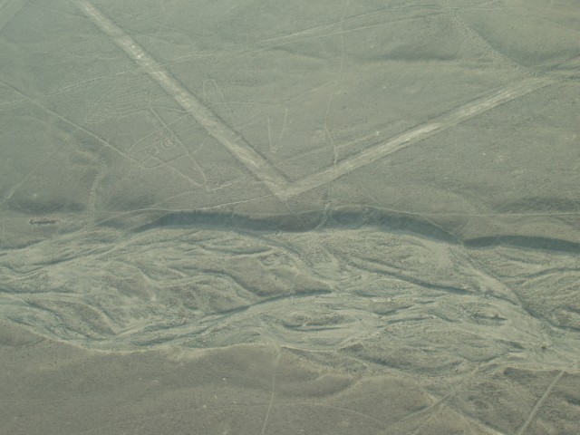 P1010049.JPG